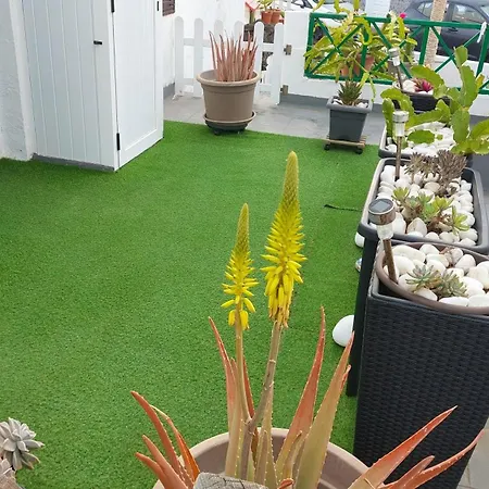 Spacious In With Terrace 아파트